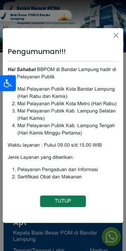 bpomlampung.net Mobile View